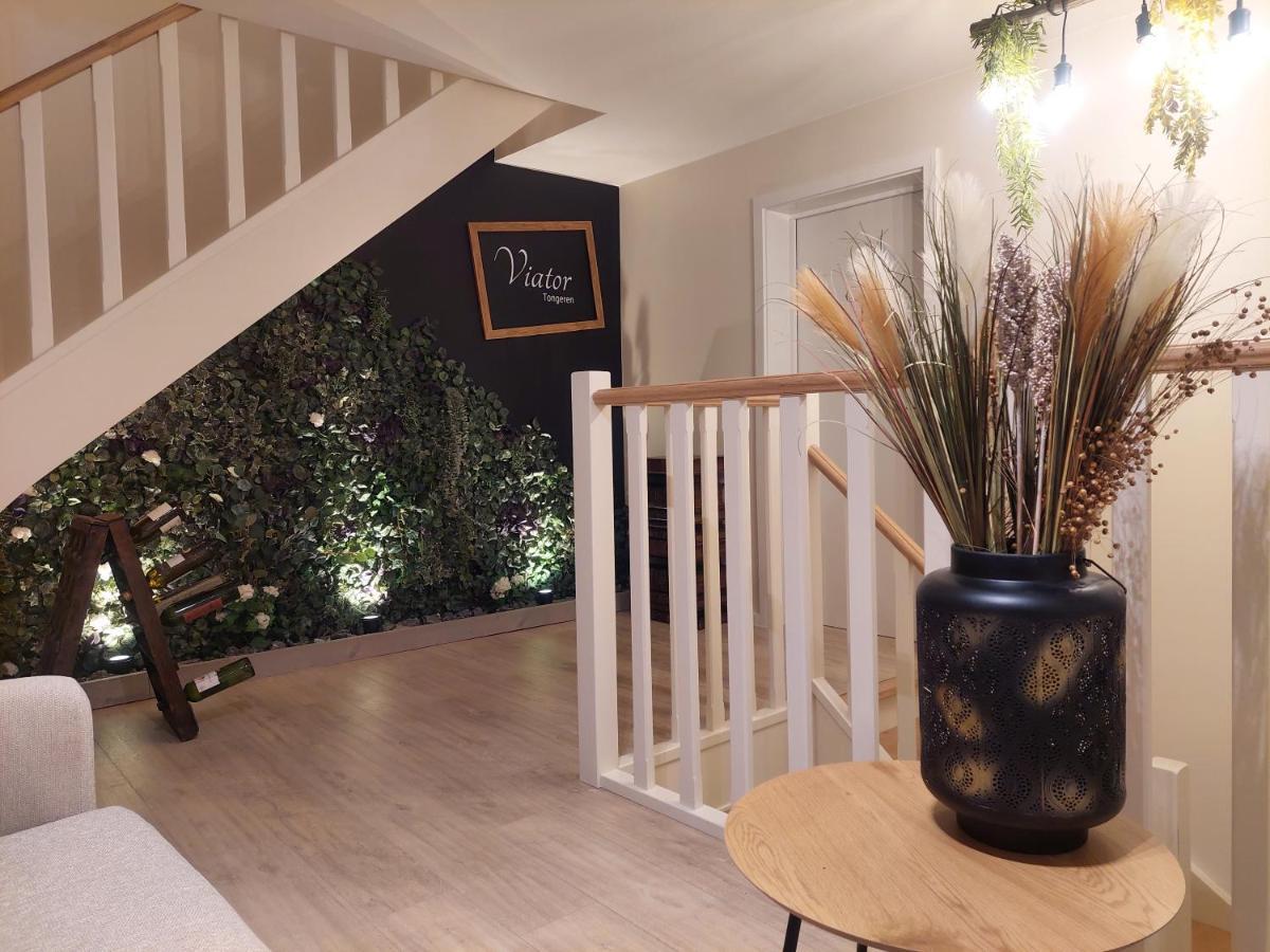 Viator Tongeren Bed and Breakfast Εξωτερικό φωτογραφία